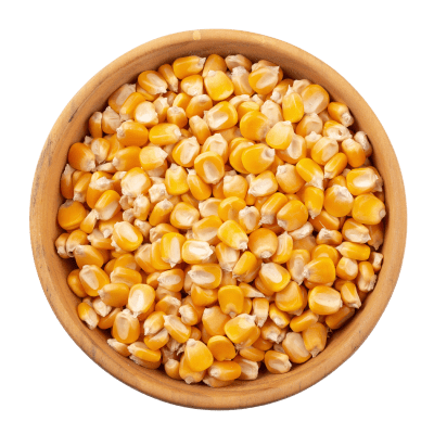 Maize