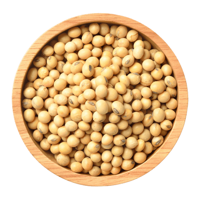 Soybean