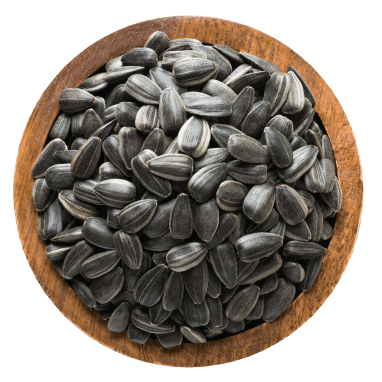 Sunflower Seeds