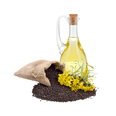 Rapeseed Oil